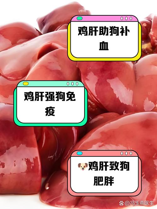 狗狗可以经常吃鸭肝吗好吗