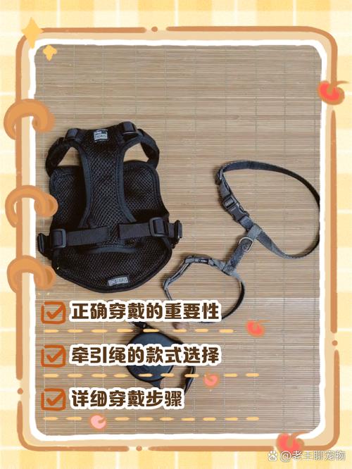 怎么用鞋带做猫牵引绳