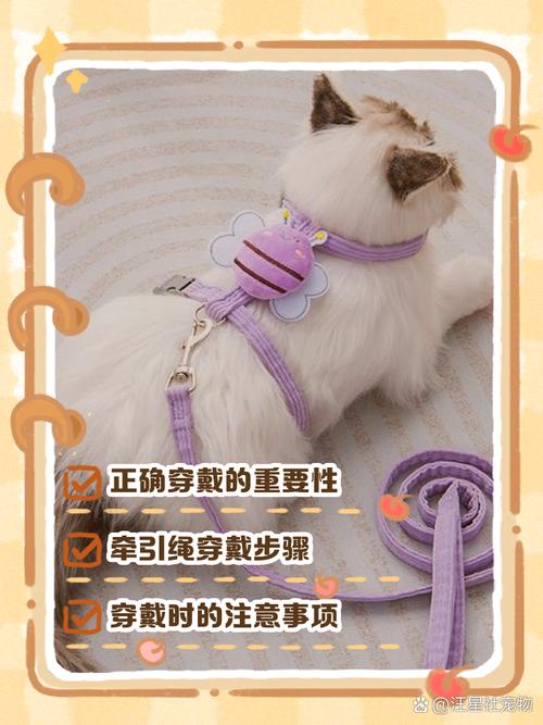 自己怎么制作猫牵引绳