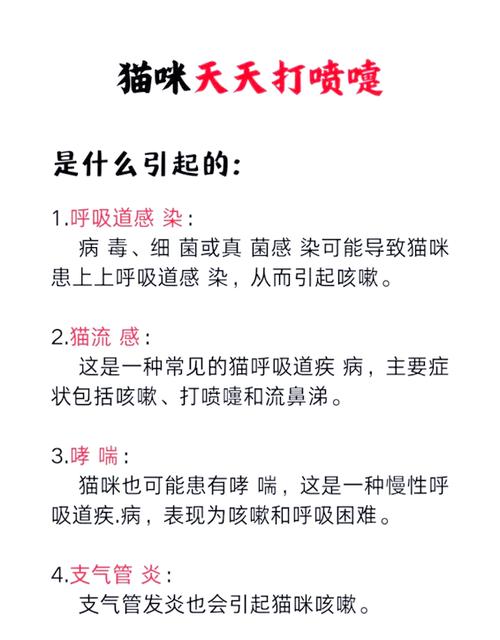 小猫总是打喷嚏怎么回事