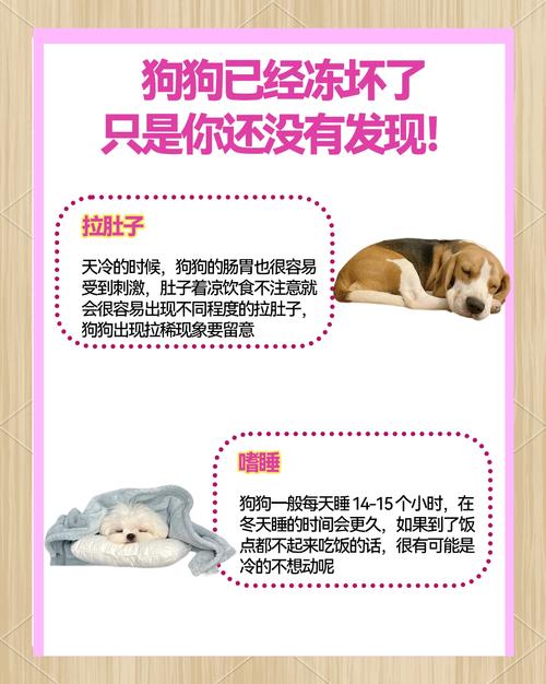 两三个月的小狗怕冷吗幼犬怕冷吗