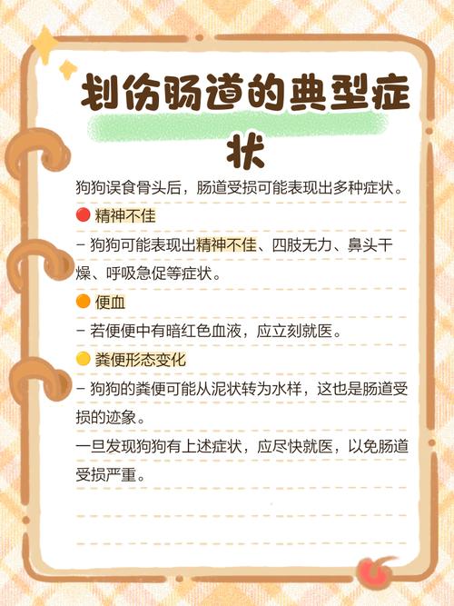 狗狗吃骨头划伤肠胃怎么办