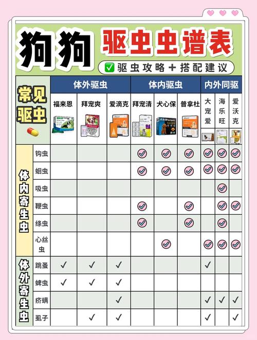 如何正确为狗狗体外驱虫