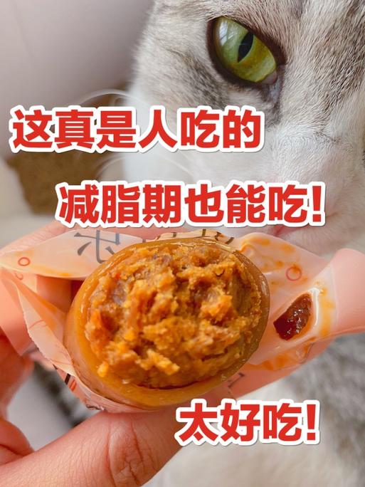 猫吃了鱿鱼丝怎么办