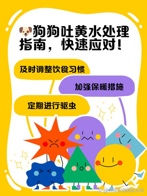 狗狗呕吐脱水怎么补水