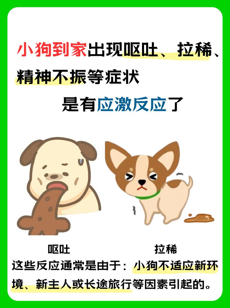 ...不喝水,今天还拉稀了,看着一点也没精神,怎么回事啊