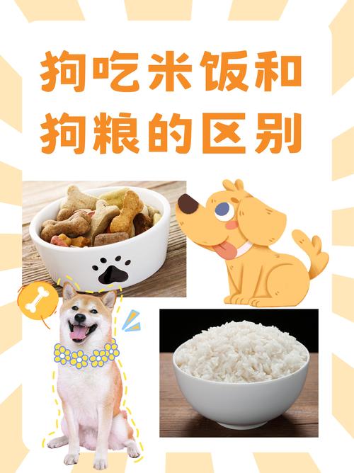 资深养狗:除了狗粮,多给狗吃这7种食物会更好