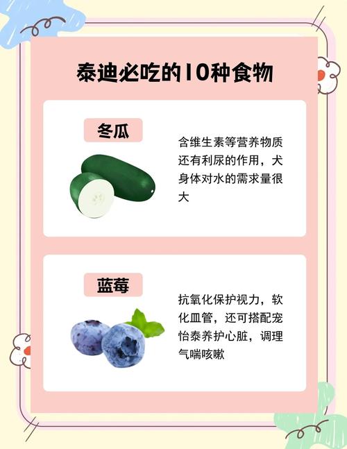 狗狗吃什么饭对肠胃比较好呢?