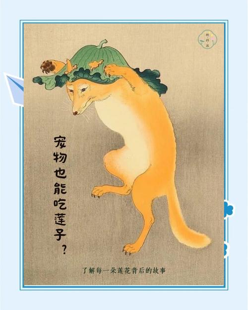 狗狗能不能吃莲子