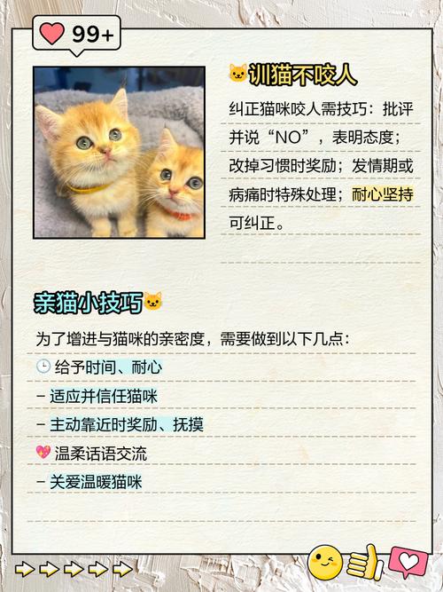 猫咪为什么抱它会咬人