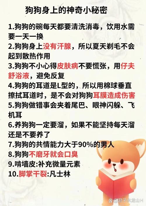 狗狗身上调节体温的汗腺主要分布在哪里