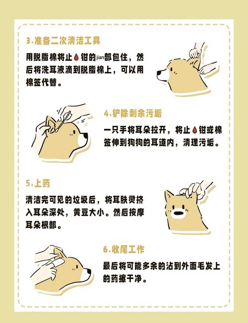 狗狗耳螨严重怎么处理?