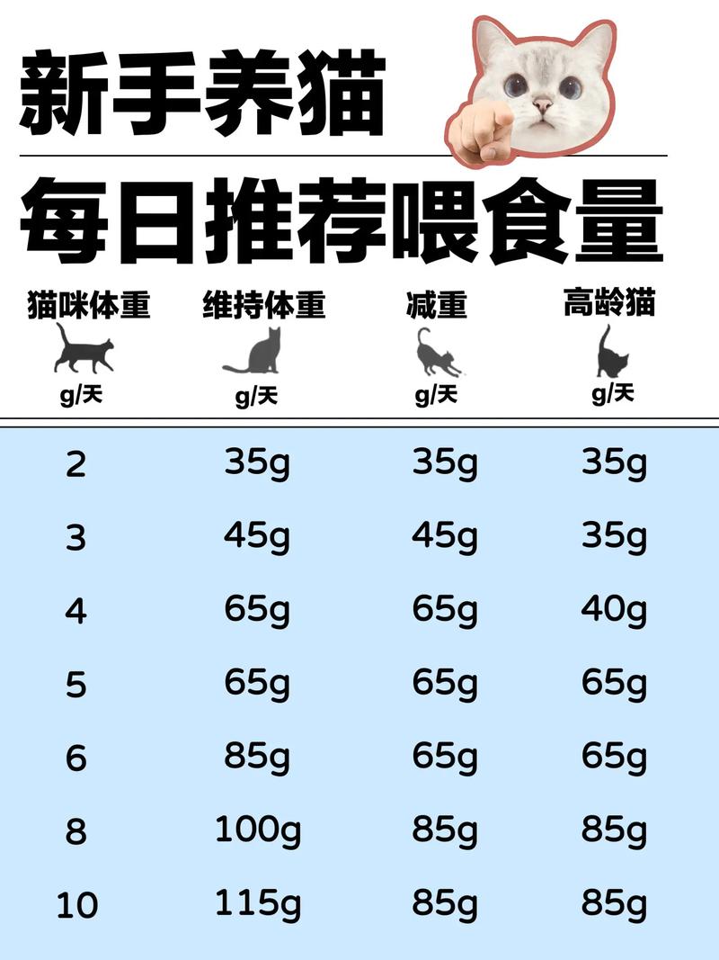 有人可以说一下小猫多大可以吃猫粮吗?