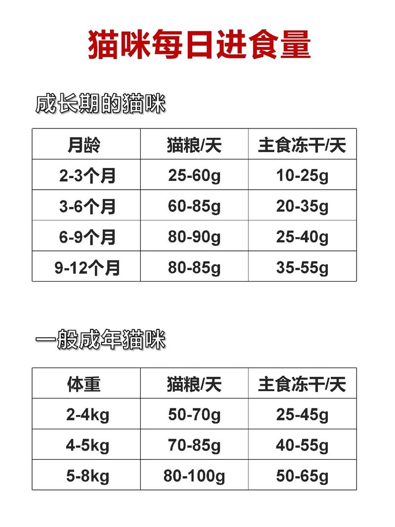 绝育后多久可以吃猫粮