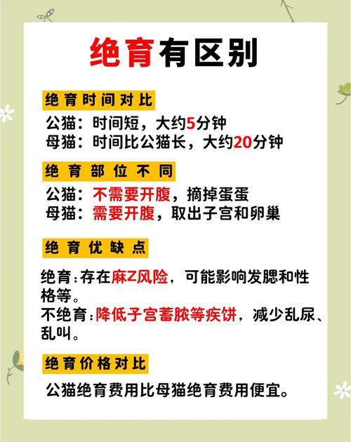 公猫绝育前注意事项都有什么?