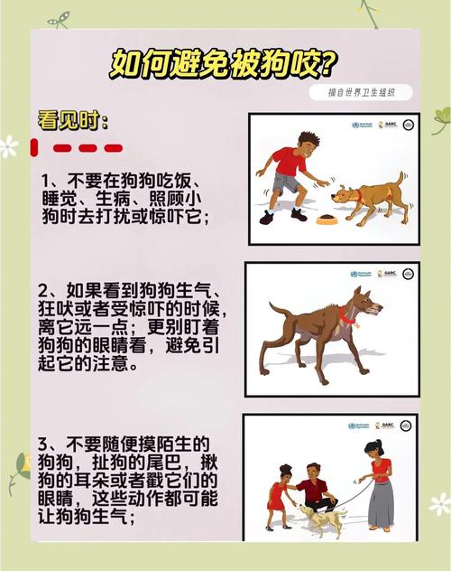 怎么预防狗狗被蚊子叮咬