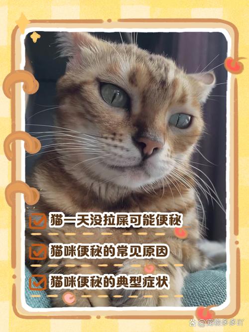 猫咪一天不拉屎正常么