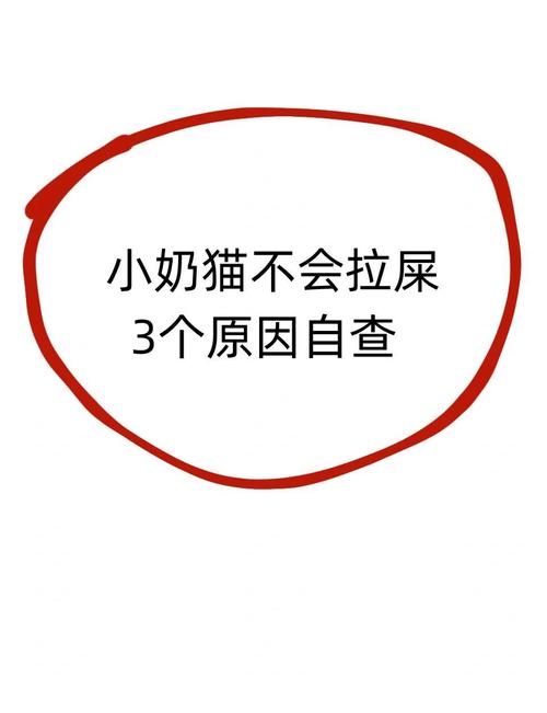 猫咪喂蒙脱石散一天没拉屎还要继续喝吗