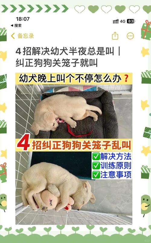 幼犬晚上一直叫要管吗(小狗刚到家为什么叫个不停)