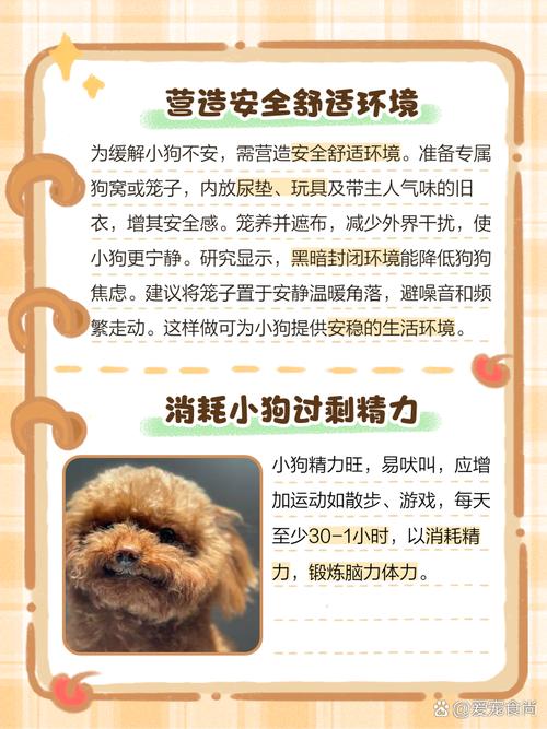 狗狗刚刚到家,老叫怎么办?