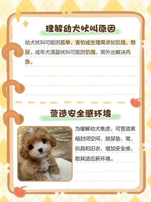 刚刚买回家的狗狗关笼子一直在叫怎么办?让它叫个不停?