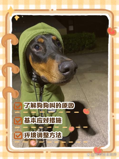 狗狗刚到新家一直叫怎么办