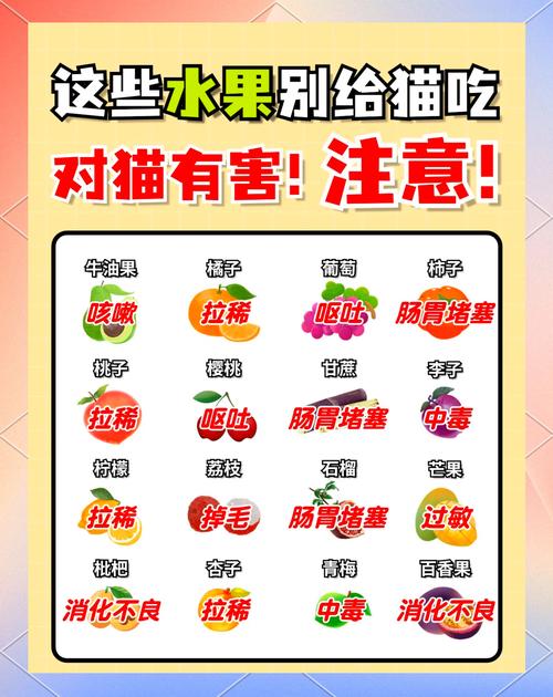 猫最爱吃的10种水果