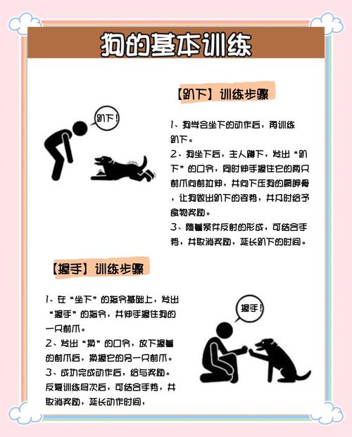 训练狗狗的29个基础动作有哪些呢?