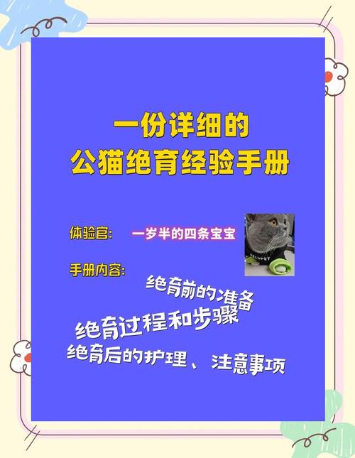 给公猫绝育大约需要多少钱呀?