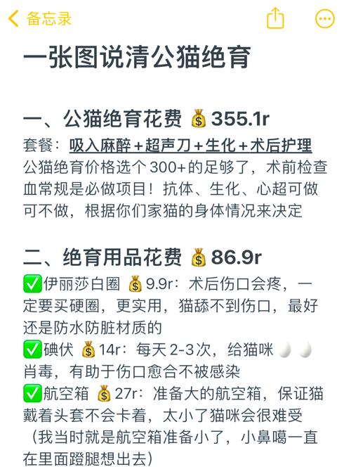 猫绝育要花多少钱!!!这2个检查项目必做!