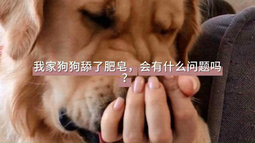 狗狗吃了肥皂会怎么样?