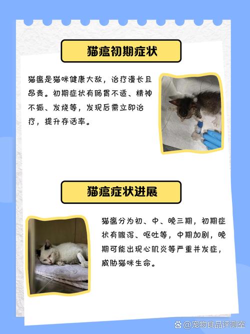 猫咪得猫瘟的前兆