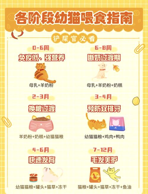 不满一个月的小猫可以吃猫粮吗?