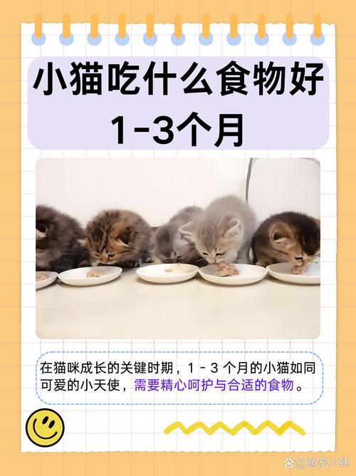 一个月的猫可以吃猫粮吗