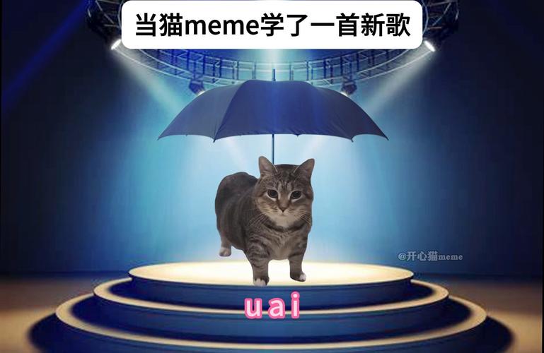 小猫meme常用伤感音乐