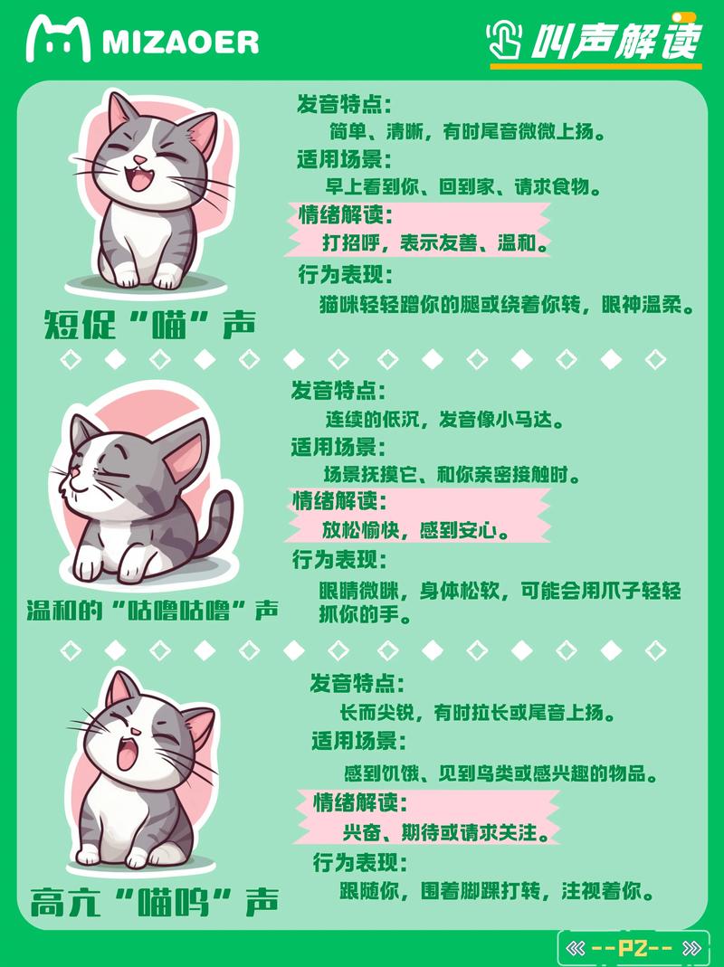 猫咪会听音乐吗?