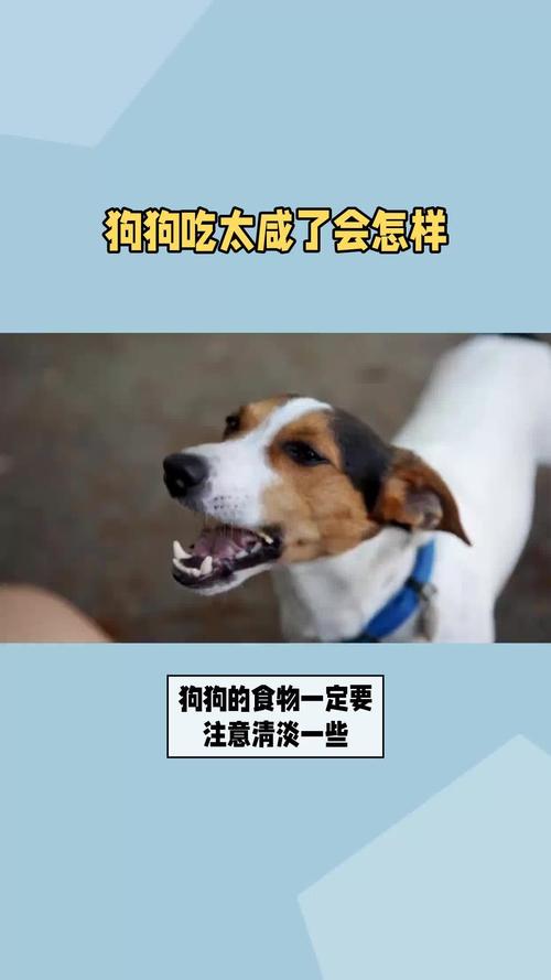 狗吃了咸的东西会怎么样