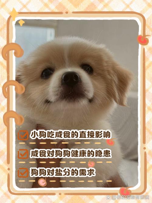 狗狗吃了太咸的东西有什么后果?