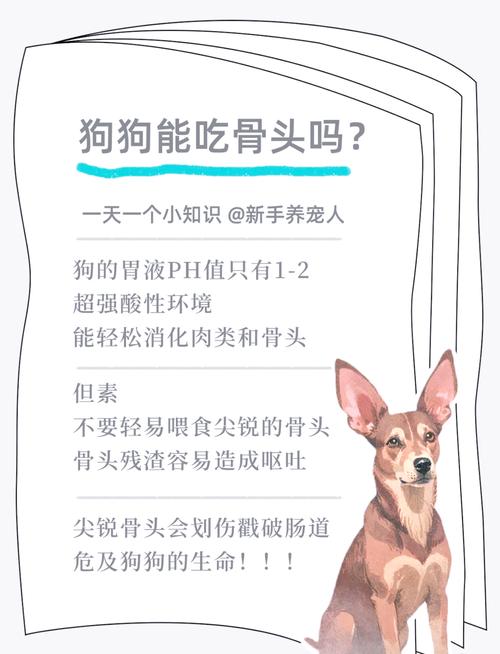 两个多月的小狗可以吃猪骨头吗?