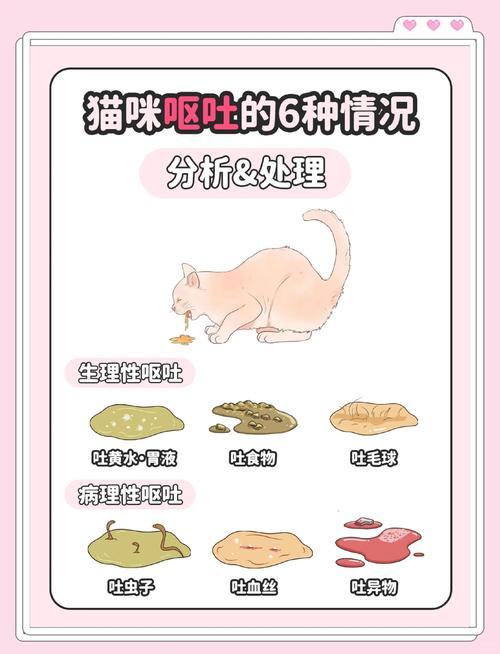 小猫咪刚到家吃了猫条呕吐该怎办?