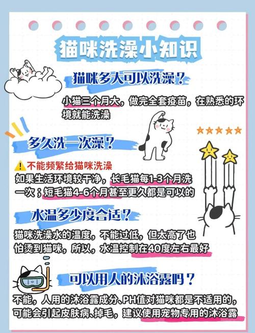 猫咪身上很脏但不喜欢洗澡,该怎么办?