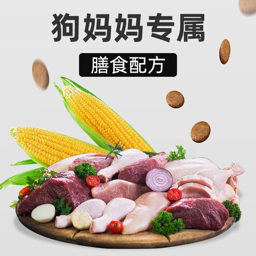 哺乳期的狗狗吃什么比较好