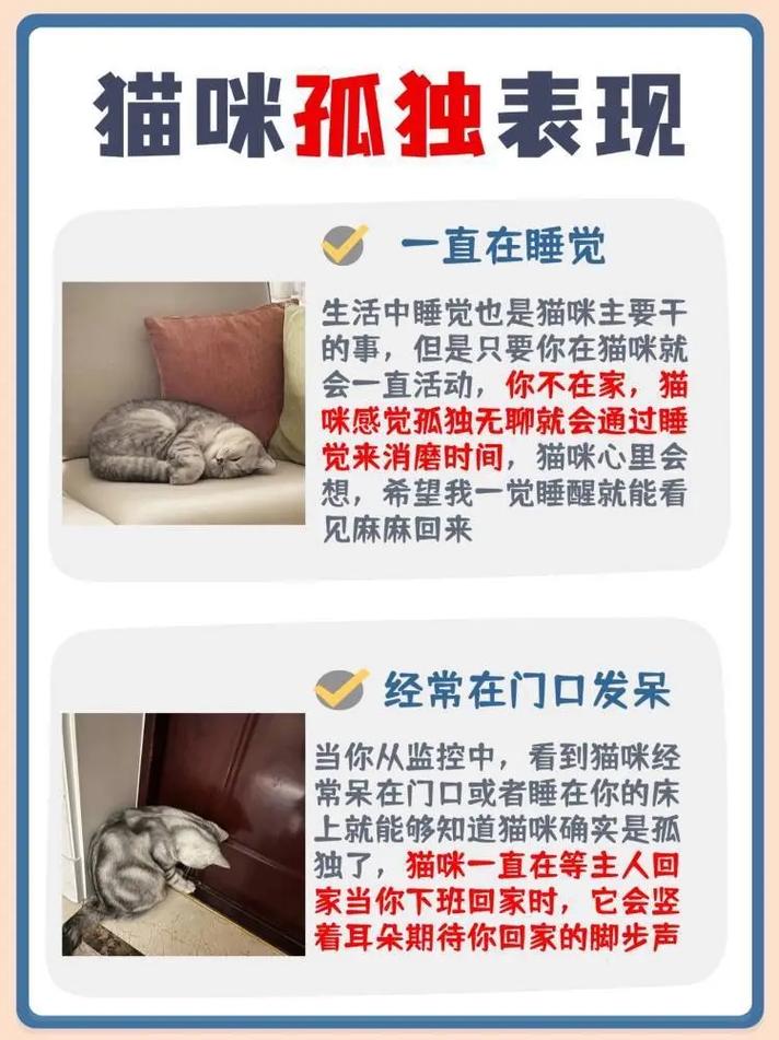 猫咪长期没人陪会怎么样?