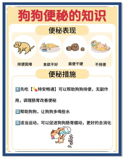 狗狗便秘的表现
