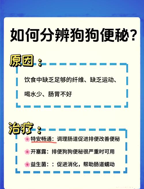 如何判断狗狗便秘