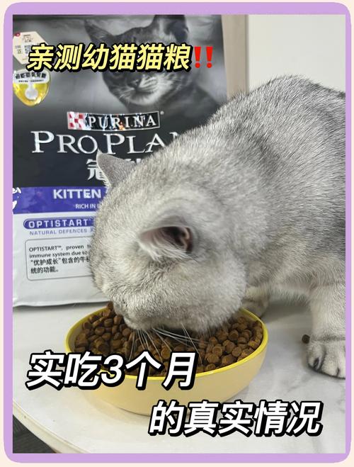 小猫吃的猫粮什么牌子的比较好?