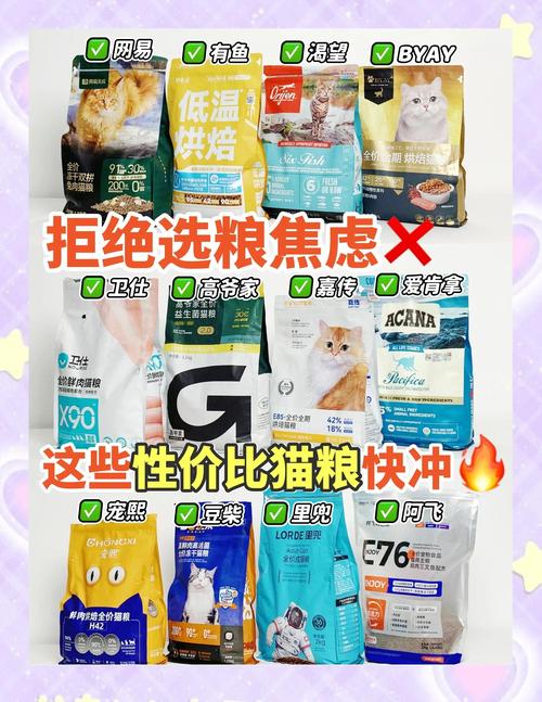 美短幼猫该吃哪些品牌的猫粮?