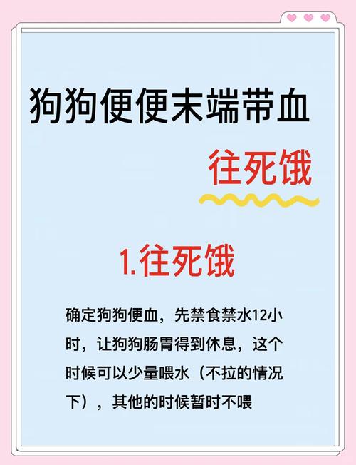 狗狗拉血了还有的救吗