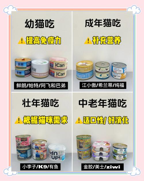 五个月的猫一天吃多少罐头