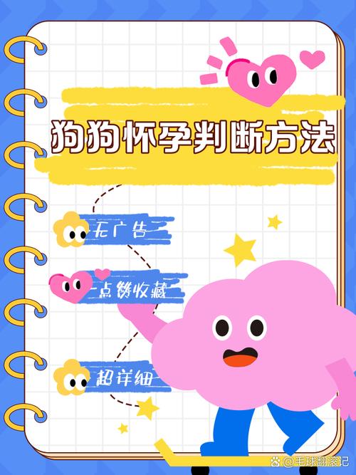 怎样看出狗狗是否怀孕